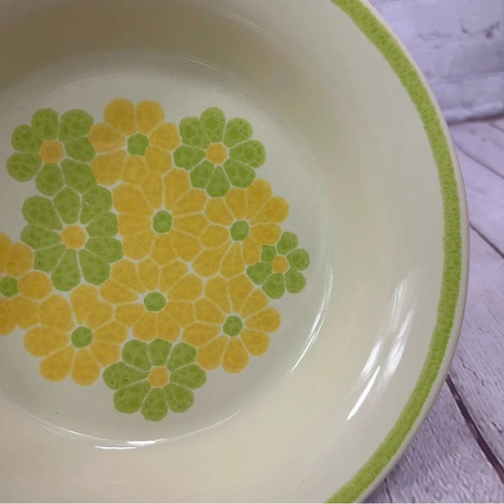 vtg 1970s picnic by Franciscan Earthenware 9